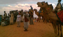 Luxury Desert Camps In Jaisalmer